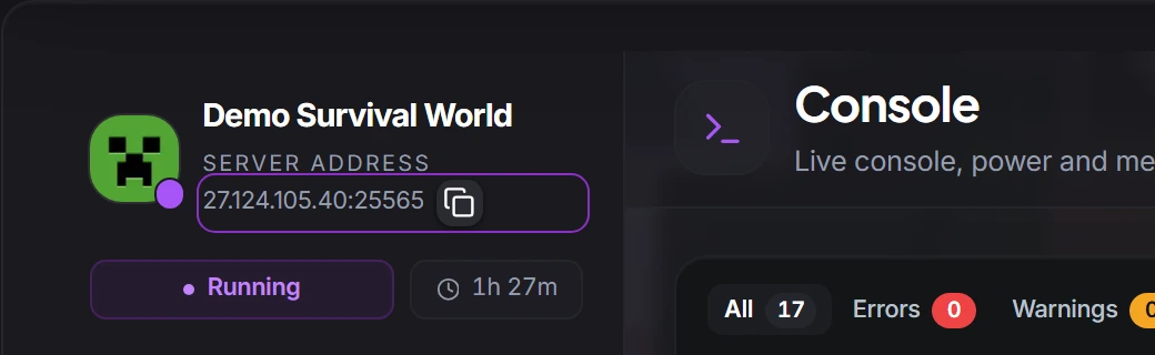The server panel's left rail, with the server address and its copy button highlighted