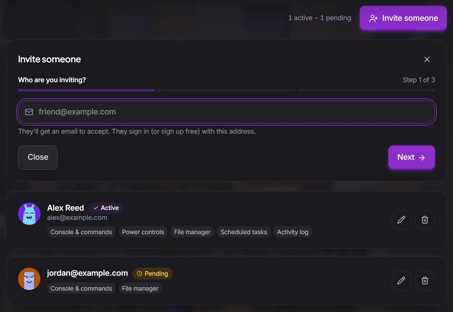 The Team tab's invite form asking for an email address, above one active member and one pending invite